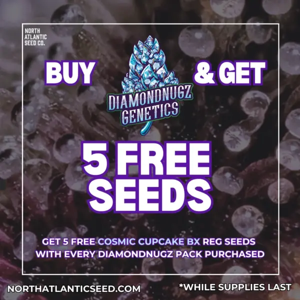 Diamondnugz's promotional image