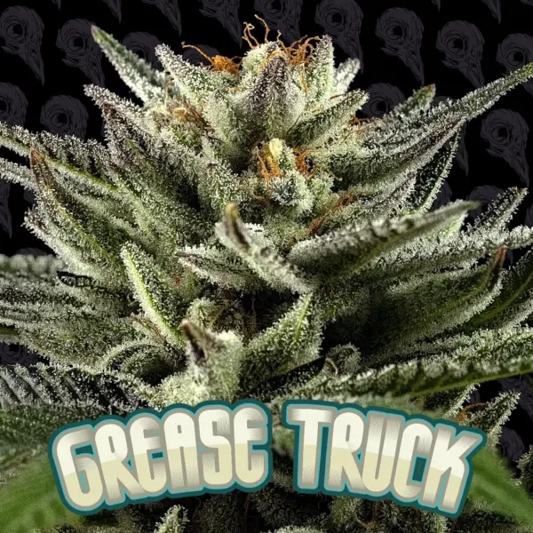 Grease Truck
