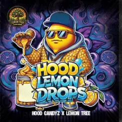 Hood Lemon Drops cannabis seeds by Elev8