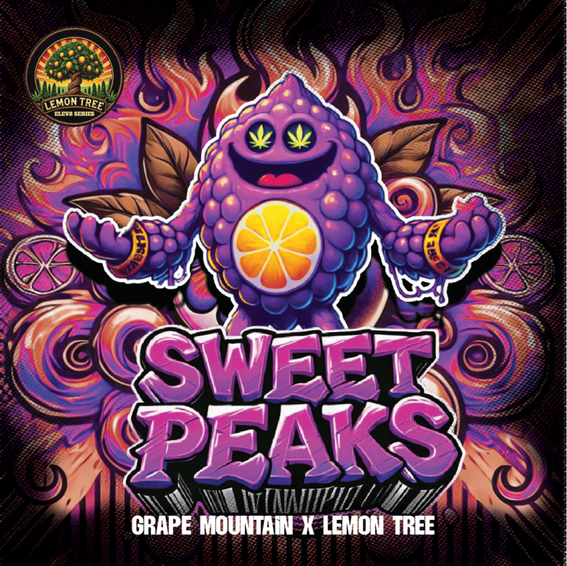 Sweet Peaks cannabis seeds by Elev8