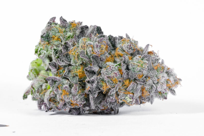 sugar tab cannabis seeds by lit farms