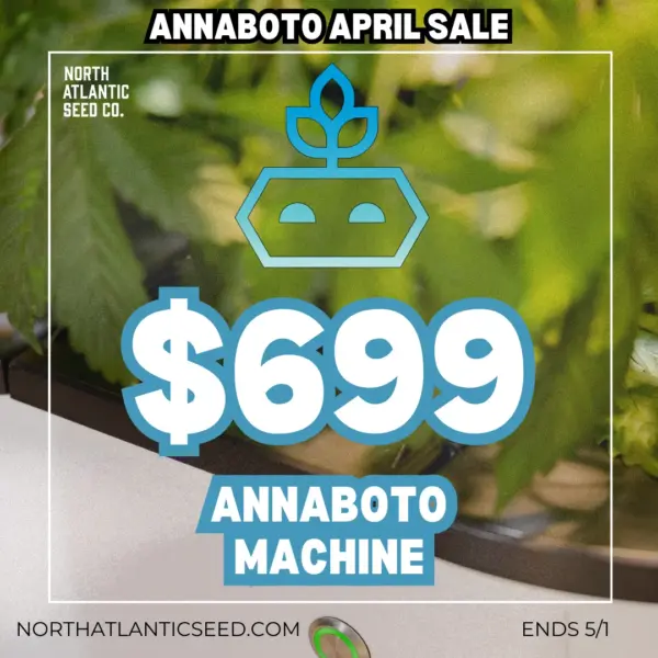 Annaboto's promotional image