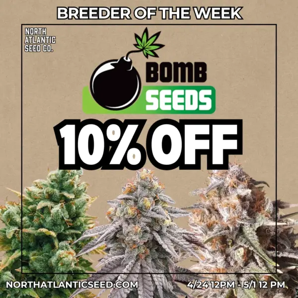 Bomb Seeds's promotional image