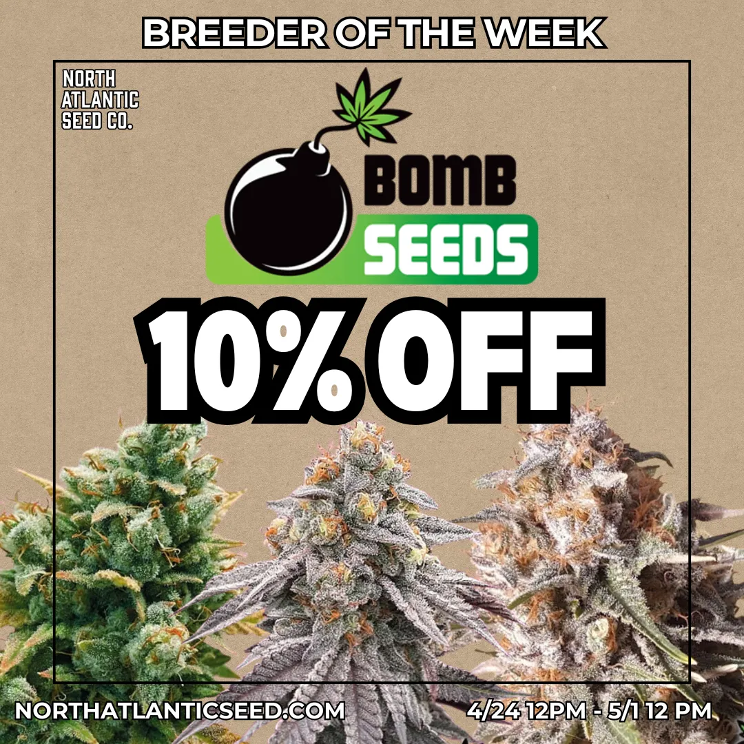 Bomb Seeds cannabis seeds
