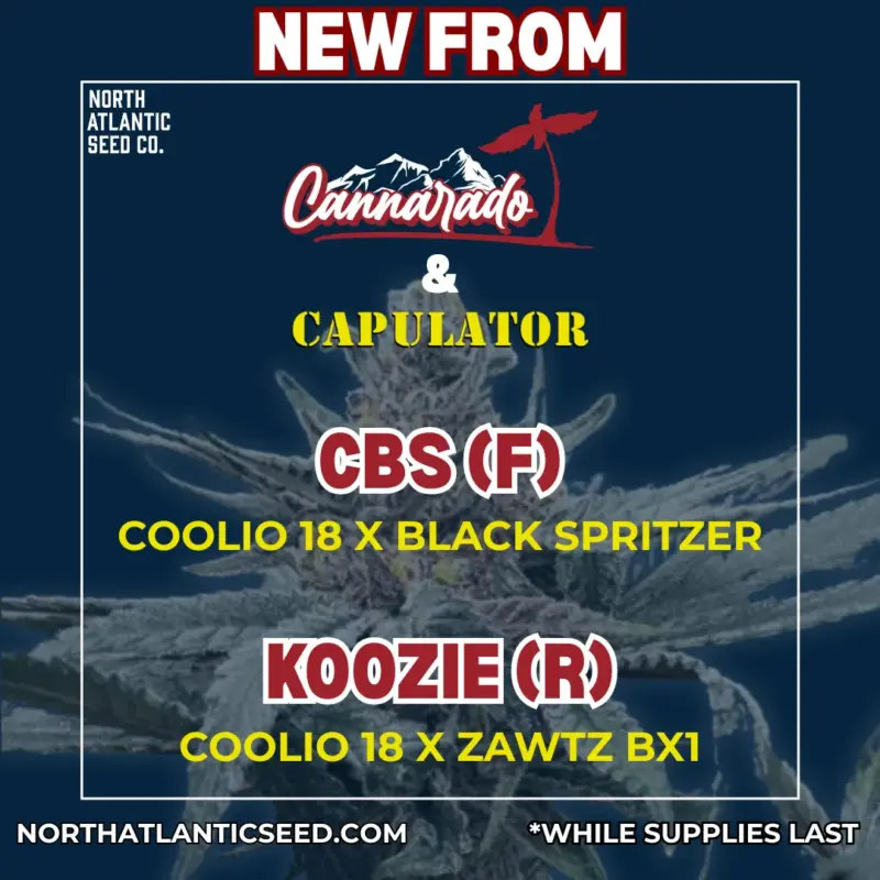 Cannarado Genetic / Capulator Collab Image