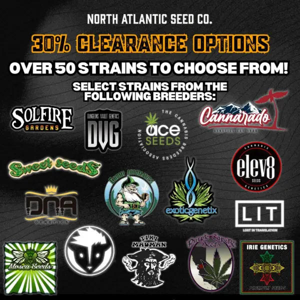 Clearance 30% Off's promotional image
