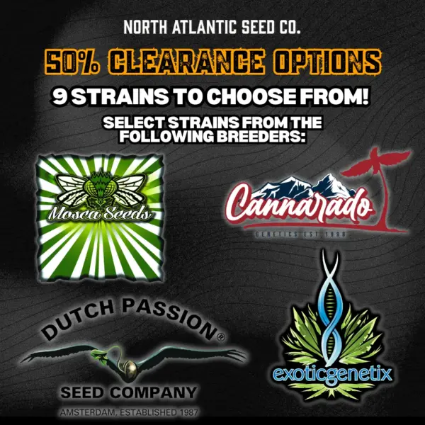 Clearance 50% Off's promotional image
