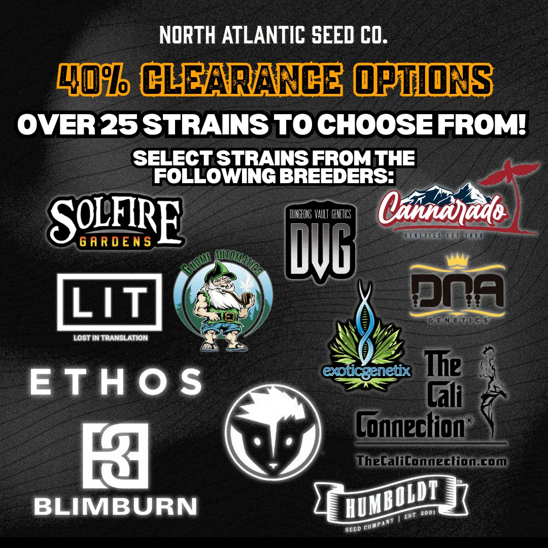 Clearance 40% Off cannabis seeds