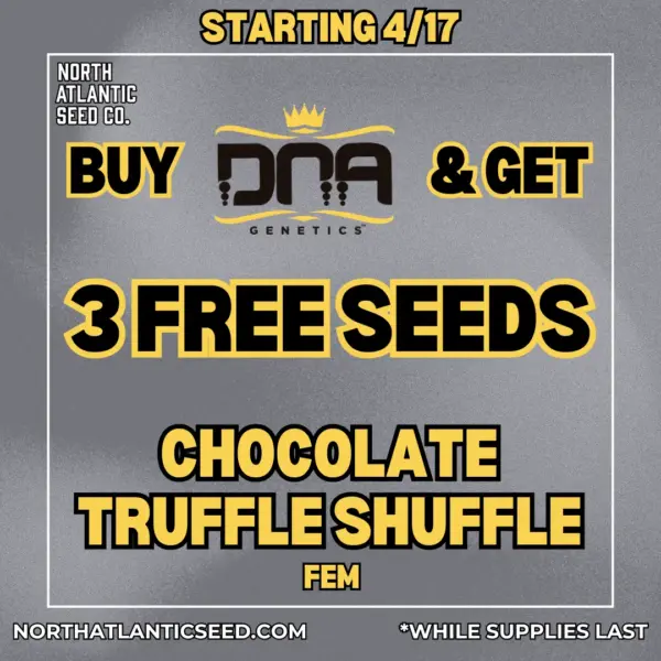 DNA Genetics's promotional image