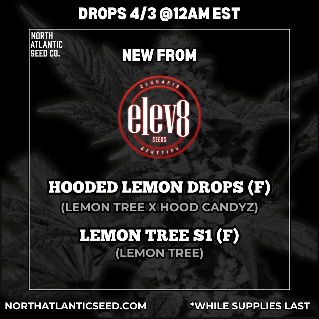 Elev8 Seeds cannabis seeds