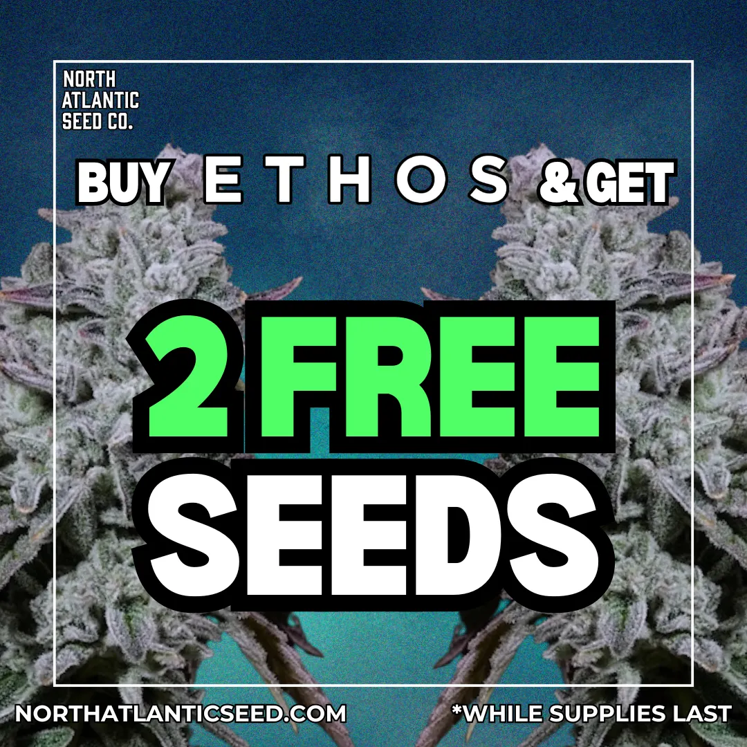 Ethos Genetics cannabis seeds