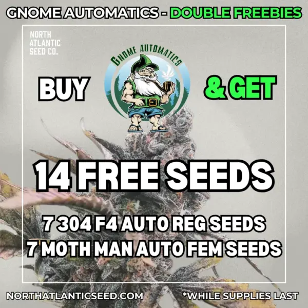 Gnome Automatics's promotional image