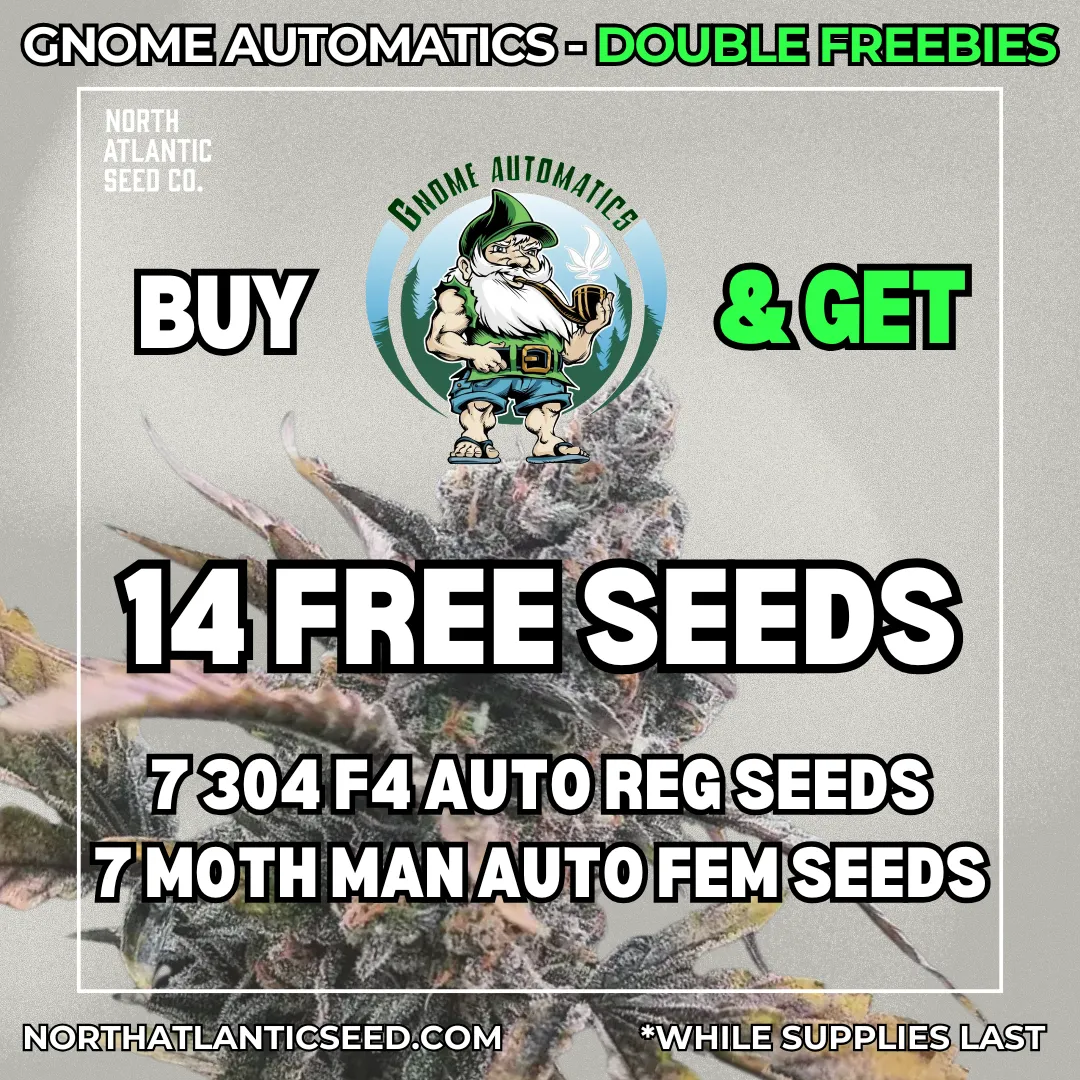 Gnome Automatics cannabis seeds