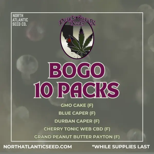 Purple Caper April BOGO's promotional image