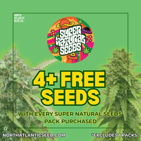 Super Natural Seeds's promotional image