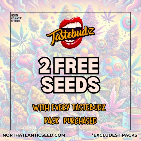 Tastebudz's promotional image