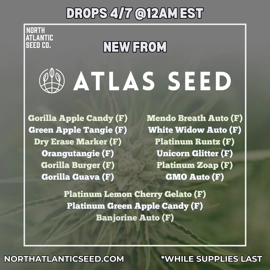 Atlas Seed cannabis seeds