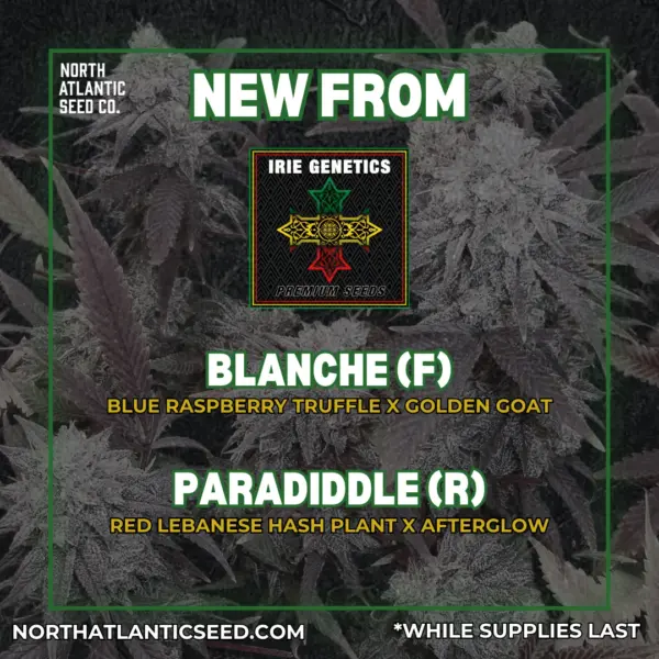 Irie Genetics's promotional image