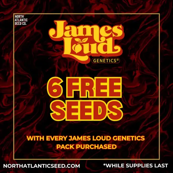 James Loud Genetics's promotional image