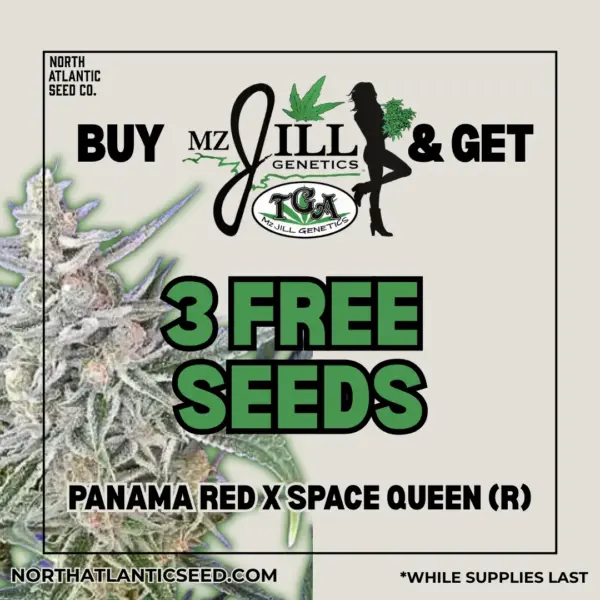 MZ Jill Genetics's promotional image