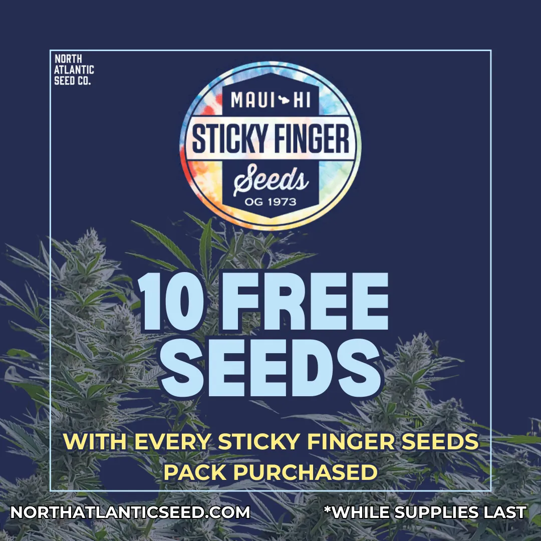 Sticky Finger Seeds cannabis seeds