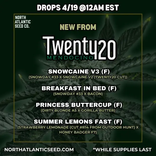 Twenty20 Mendocino's promotional image