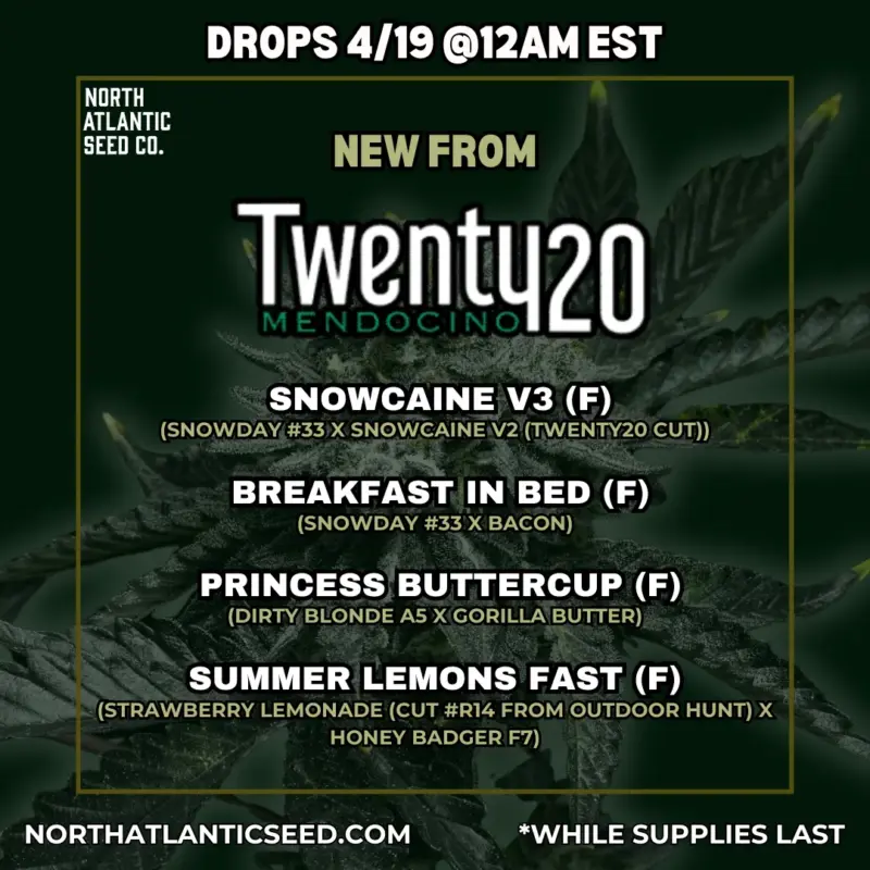 Twenty20 Mendocino Spring 2025 Drop Image