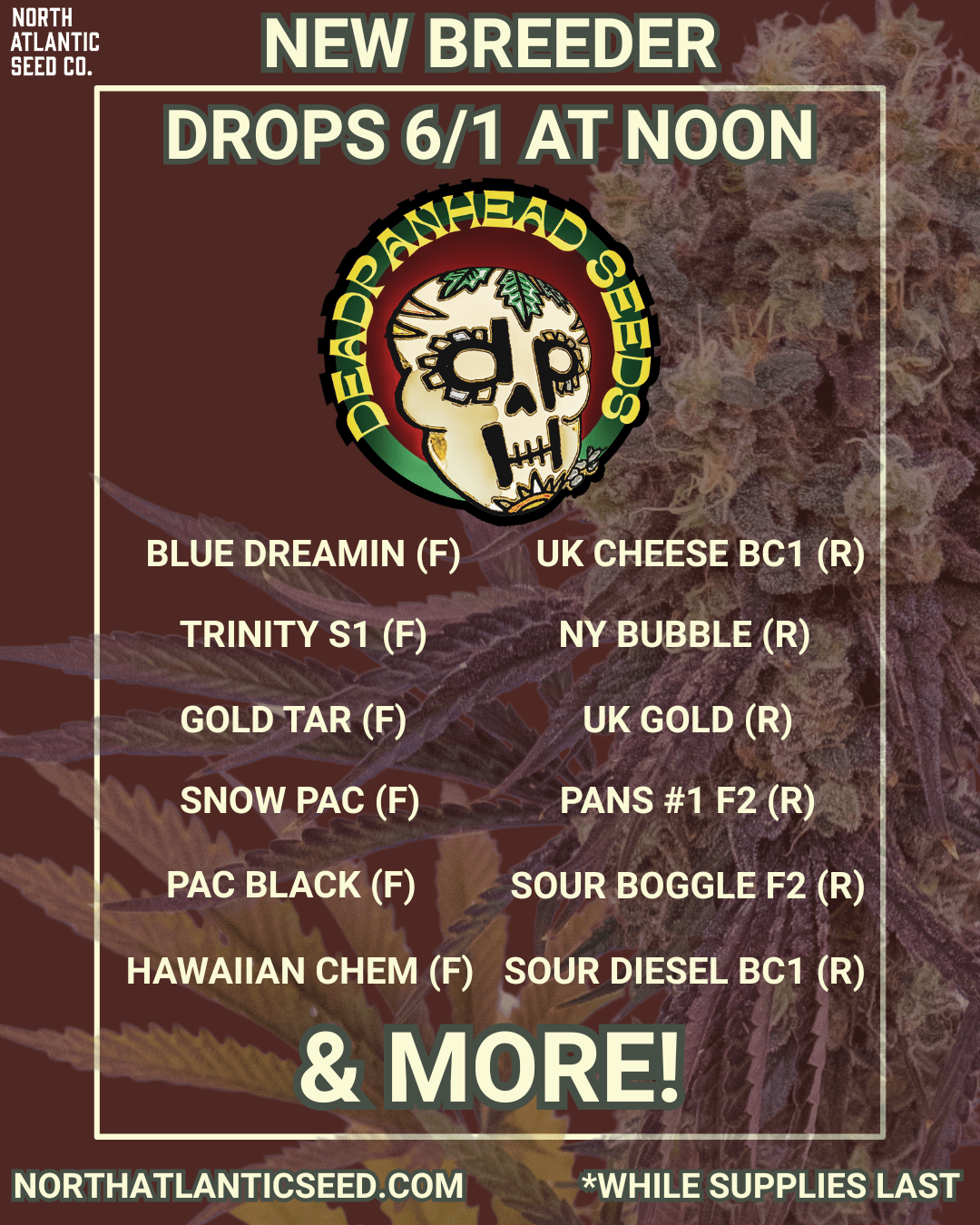 Deadpanhead Seeds cannabis seeds