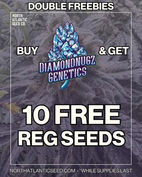 Diamondnugz's promotional image