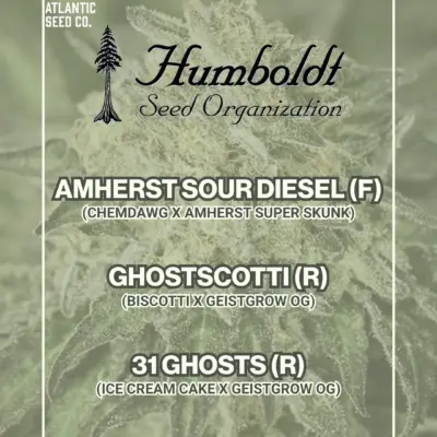 Humboldt Seed Organization