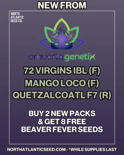 Omuerta Genetix's promotional image