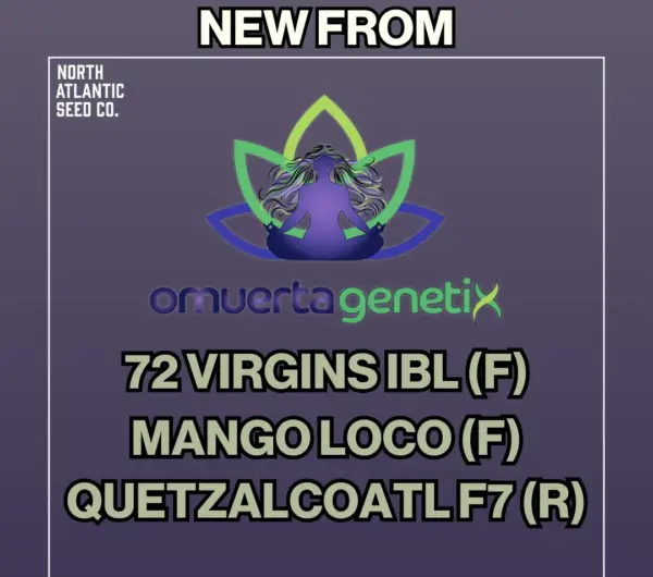 Omuerta Genetix's promotional image