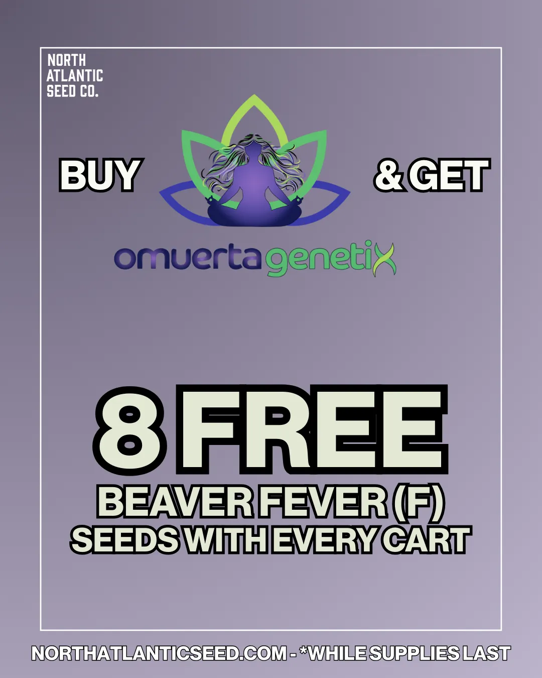 Omuerta Genetix cannabis seeds