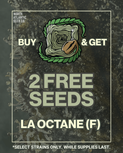 Square One Genetics's promotional image
