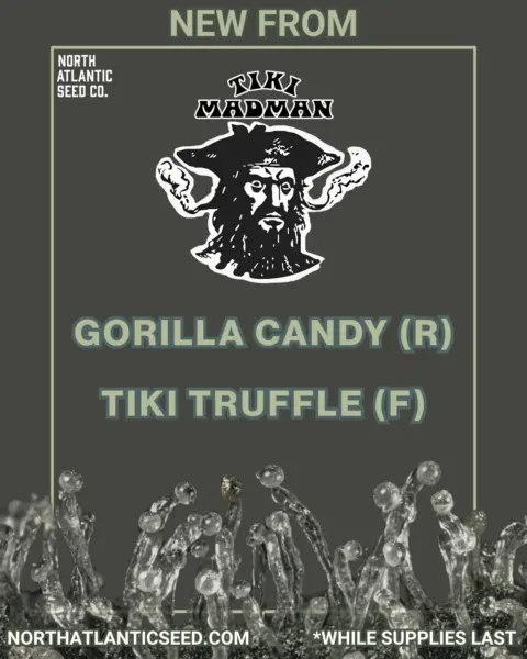 Tiki Madman's logo or representative image