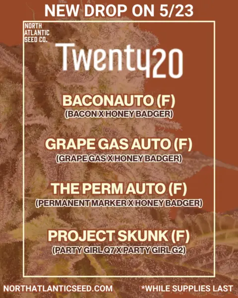 Twenty20 Mendocino May 2025 Drop's promotional image