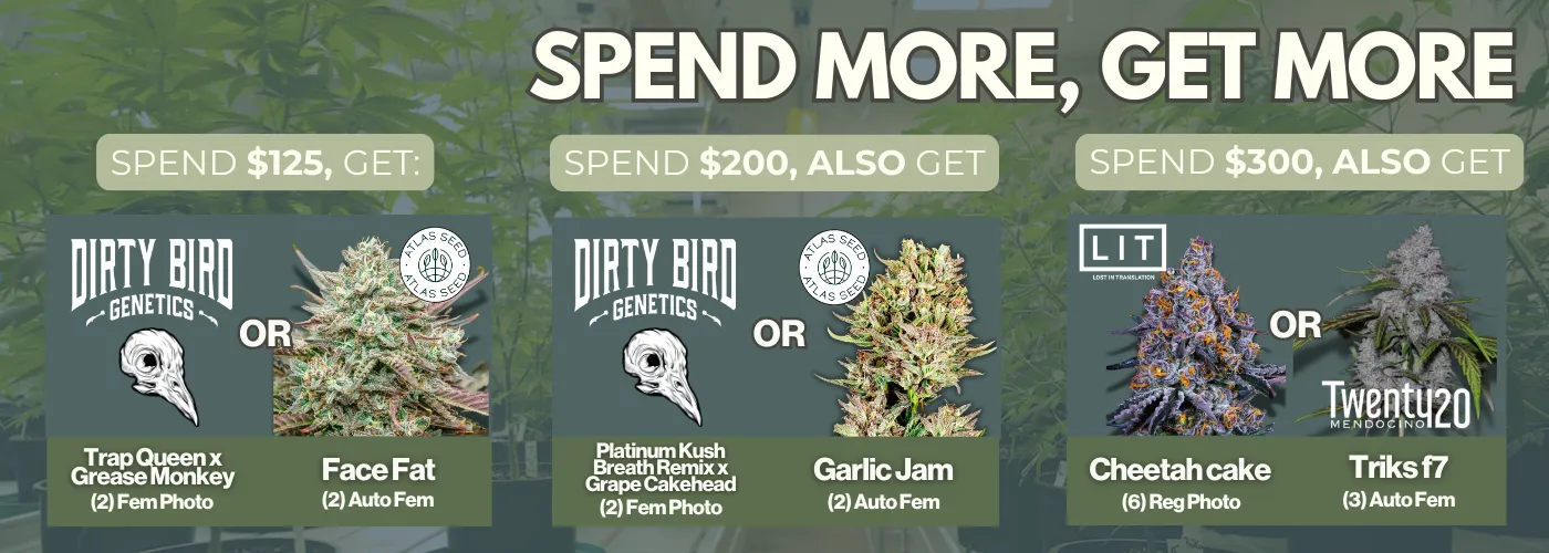Spend More Get More 6/17