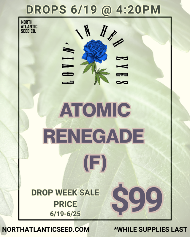 Atomic Renegade - Lovin' In Her Eyes