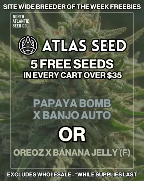 Atlas Seed's logo or representative image