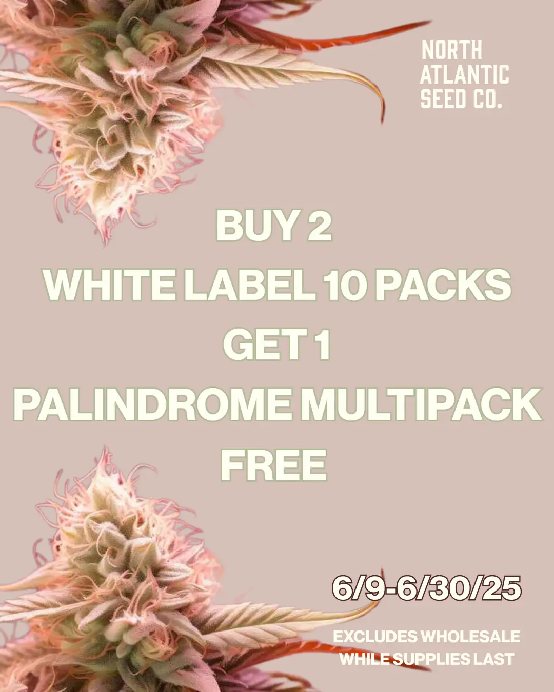 Bulk White Label cannabis seeds