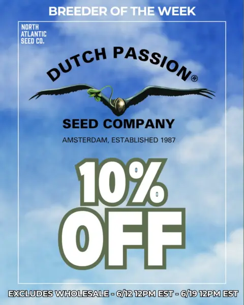 Dutch Passion's promotional image