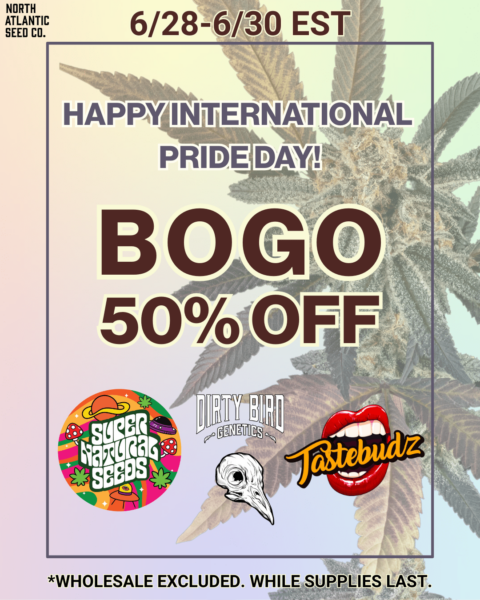 International Pride 2025's promotional image