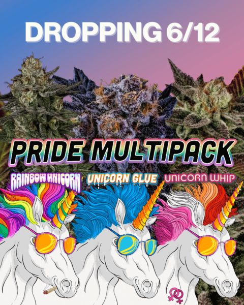 Dirty Bird Genetics's promotional image