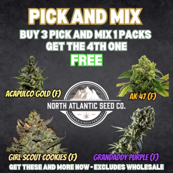 Pick and Mix's promotional image