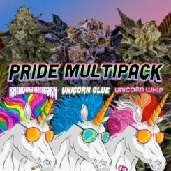Pride Multipack - Unicorn Line Up (F) [LIMITED]