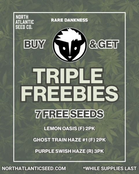 Rare Dankness's promotional image