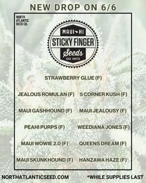 Sticky Finger Seeds's logo or representative image