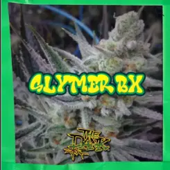 Slymer BX Cannabis Seeds by Subcool Seeds