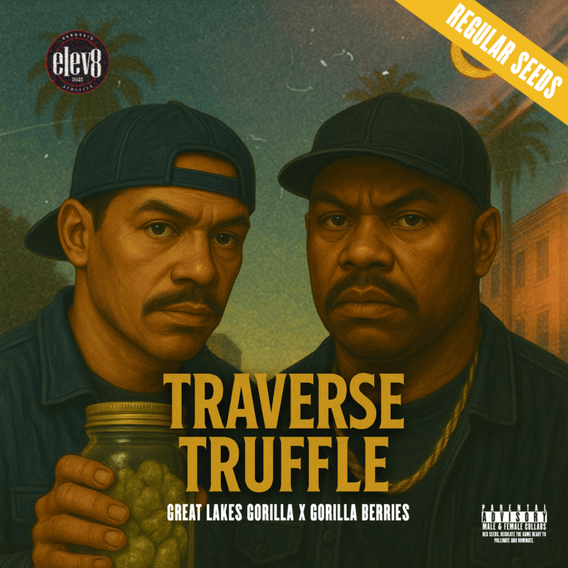 traverse truffle cannabis seeds by elev8 seeds