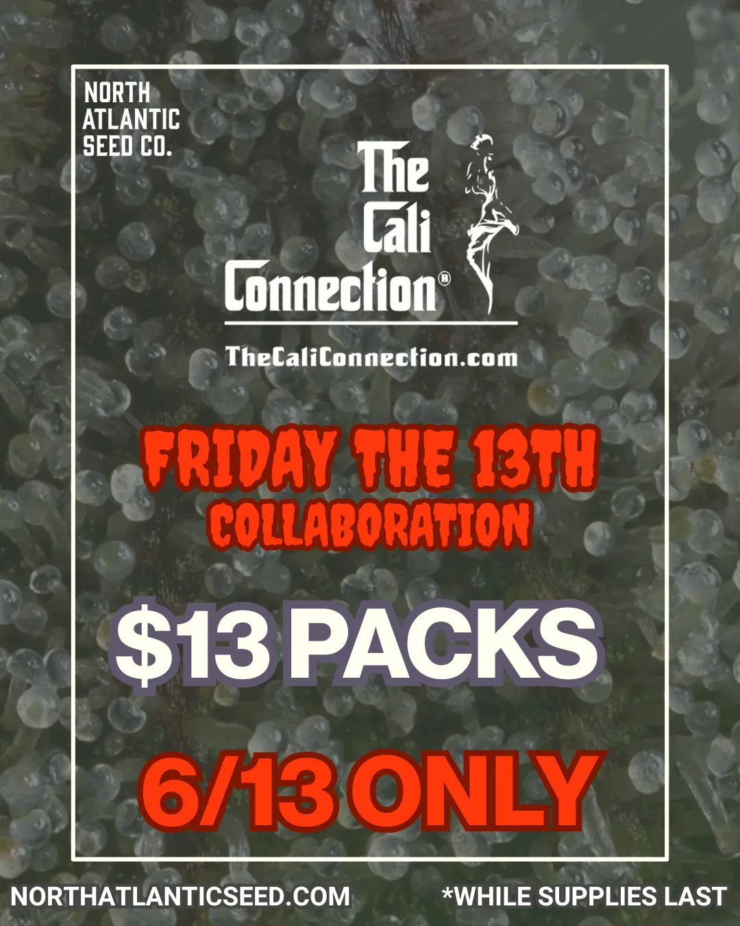 The Cali Connection cannabis seeds